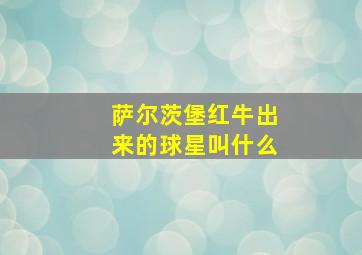 萨尔茨堡红牛出来的球星叫什么